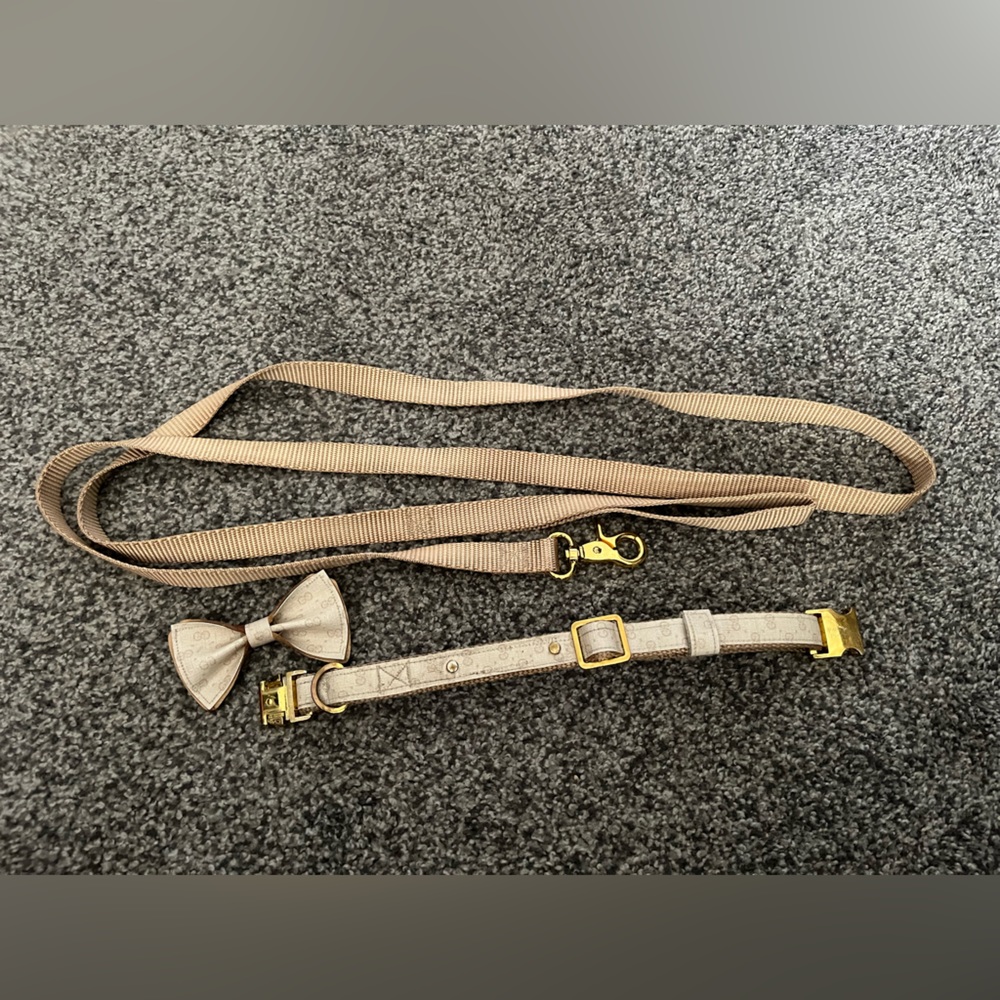 Gucci dog collar